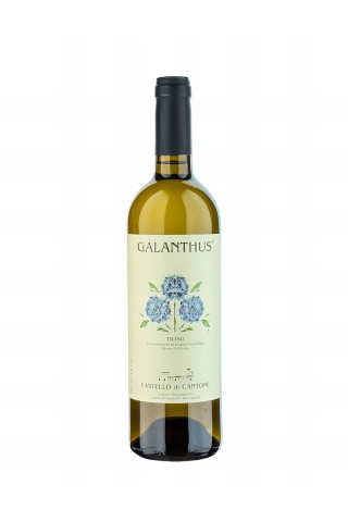 Galanthus Bianco Merlot Ticino DOC C. di Cantone 2022