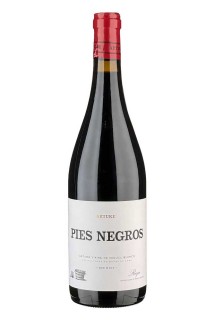 Artuke Pies Negros, DOQ Rioja, 2021