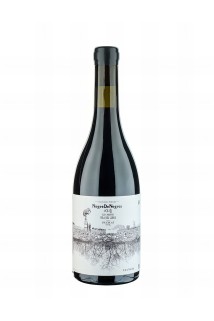 Negre de Negres, Portal del Priorat, DOQ, 2021