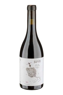 Somni Tinto, DOQ Priorat, Portal del Priorat, 2019