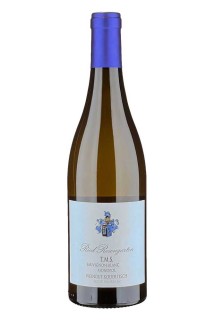 Kodolitsch Ried Rosengarten Sauvignon Blanc T.M.S. 2021