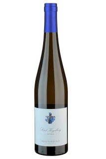 Kodolitsch Ried Kogelberg Riesling 2023